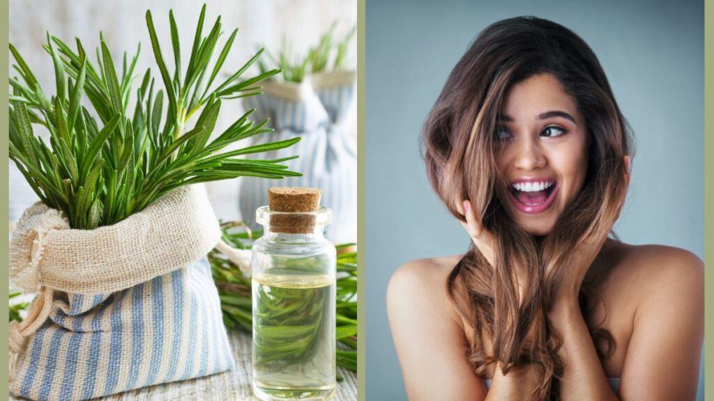 haircare-tips-4-benefits-of-rosemary-for-thick-and-long-hair