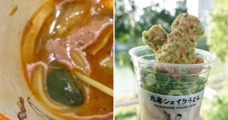Live frog found in Japanese man's udon takeout, company issues apology