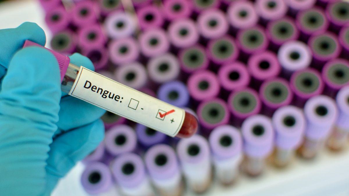national-dengue-day-2023-inspirational-quotes-and-slogans-to-share-and-uplift-the-spirit-of-the-day