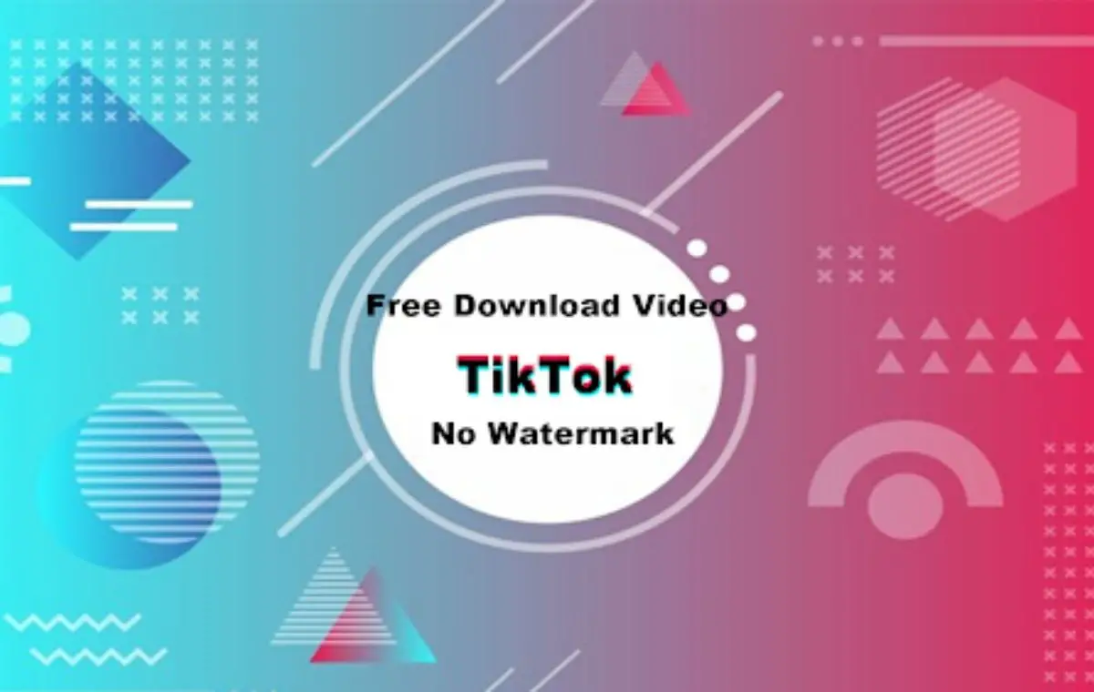 How to Download TikTok Videos in 2022?