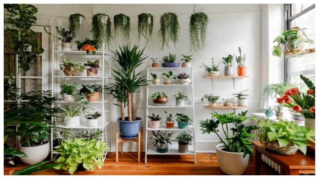 Many people like to plant different types of trees and plants for home decoration.  But in Vastu Shastra, some of those plants have also been said, planting the negativity that enters the house.  Along with this, these plants can also create many kinds of problems.