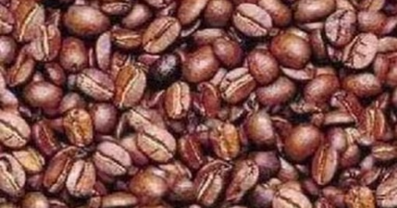 Mind-Bending Optical Illusion: Can You Find The Man Hidden Among The Coffee Beans In 10 Seconds?
