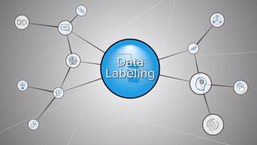 A Comprehensive Guide to Data Labeling Services and Its Significance