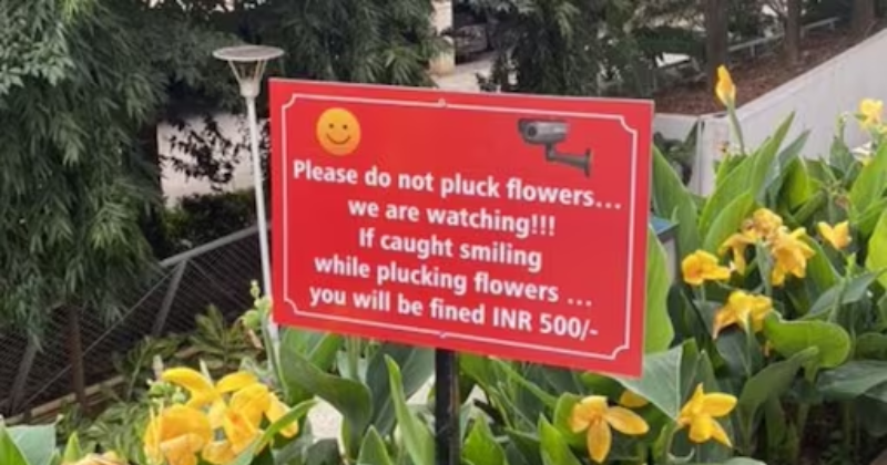 'If Caught Smiling While Plucking...' Bizarre Sign In Bengaluru Asking People Not To Pluck Flowers Viral
