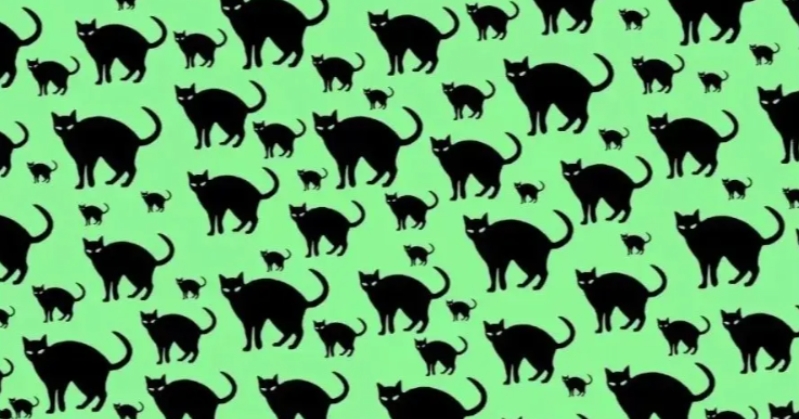 Optical Illusion Challenge: It's Your Time To Spot The Rat Among The Cats In 14 Seconds