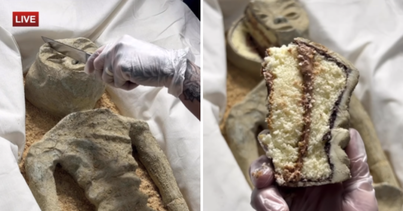 You Need To Watch This: Baker Dissects Mexico's ‘Alien Corpses’ In New Viral Video, People Think It's Way More Convincing
